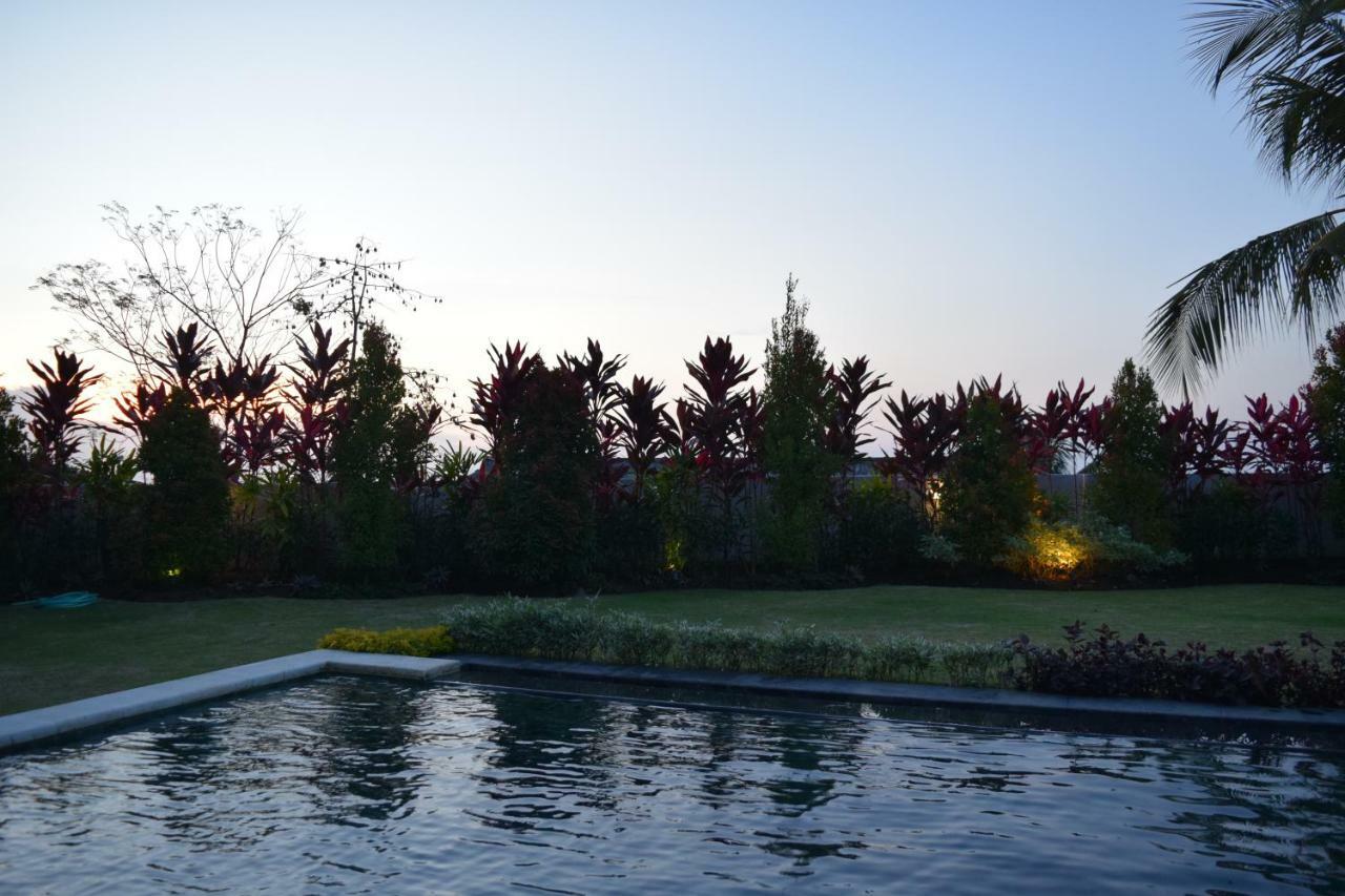 Villa Putih Ловіна Екстер'єр фото